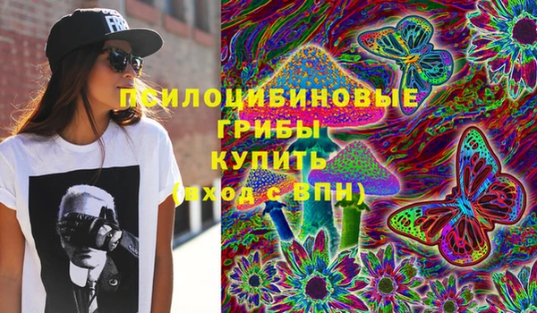 твердый Богородицк